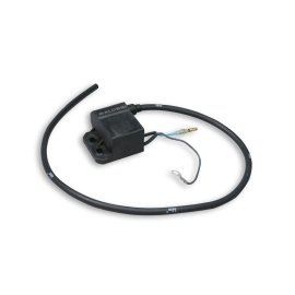 Filtro de ar MALOSSI LIBERTY 50 | Compre online com entrega rápida