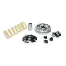 MALOSSI MULTIVAR 2000 VARIATOR | Perfeito para sua motocicleta