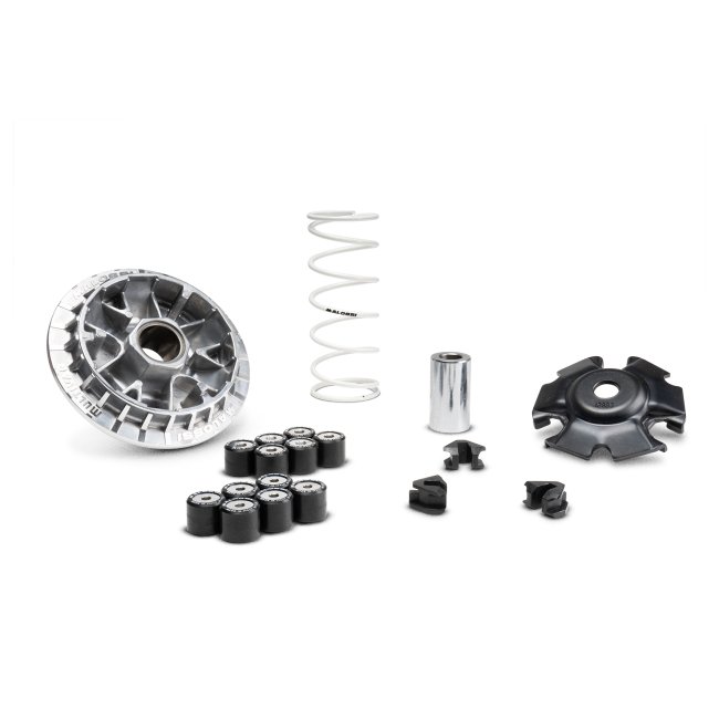 VARIADOR MULTIVAR 2000TIMED