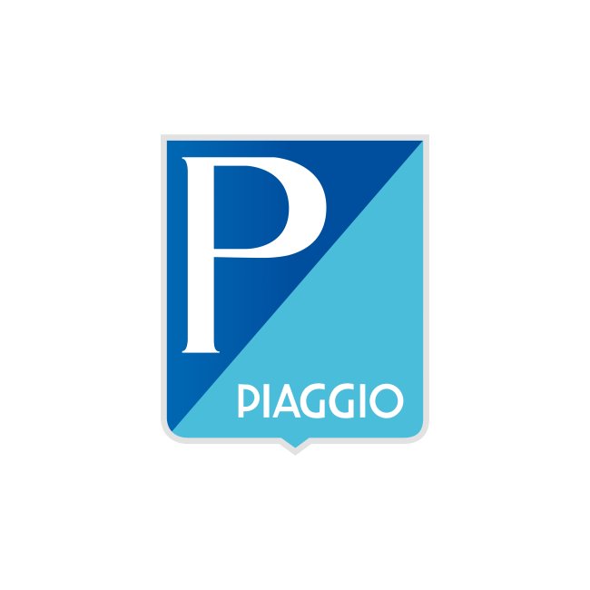 PROTECTOR DE ESCAPE PIAGGIO