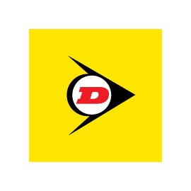 CUBIERTA DUNLOP 60100-10 33J TT GEOMAX MX54 F F