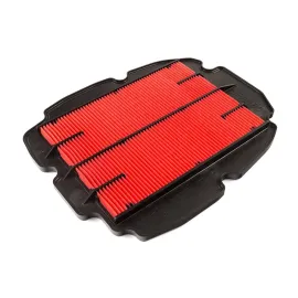 Imagem de FILTRO AR HIFLO HFA-1801 (HFA-1801)