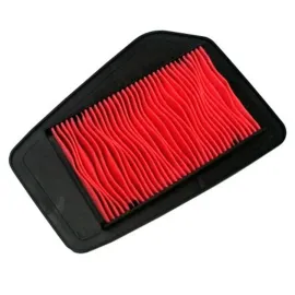Imagen de FILTRO AIRE HIFLOFILTRO HFA-1113 (HFA-1113)