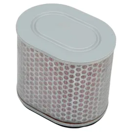 Imagem de FILTRO AR HIFLO HFA-1713 (HFA-1713)