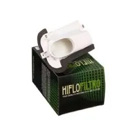 Imagen de FILTRO AIRE HIFLOFILTRO HFA-4107 (HFA-4107)