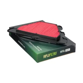 Imagen de FILTRO AIRE HIFLOFILTRO HFA-2924 (HFA-2924)