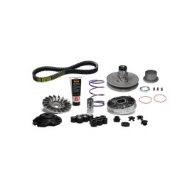 Imagen de OVER RANGE PIAGGIO 2000 (CARTER CORTO) (6118836)