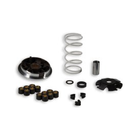 Imagen de MULTIVAR variador SUZUKI STREET MAGIC 50 (51 9994)