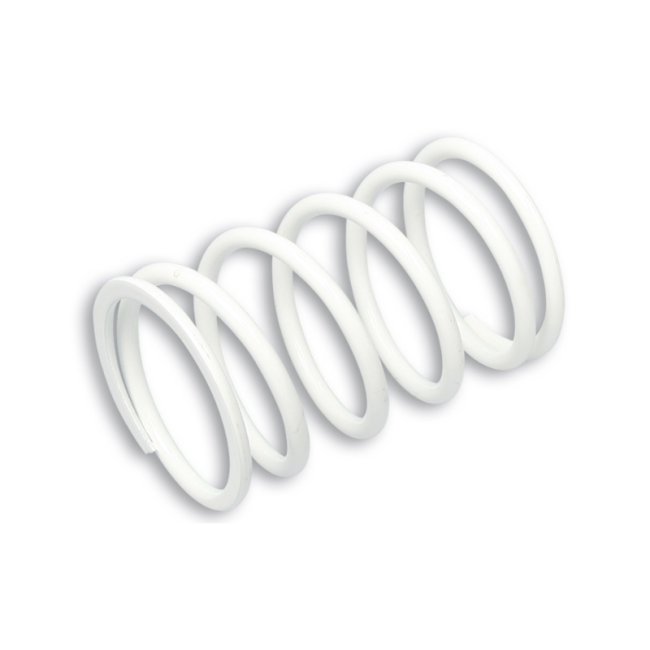 Imagen de MUELLE DE POLEA CONDUCIDA BLANCO Ø ext.80,4x115mm Ø hilo 6,5mm 11,2k (2913344.W0)