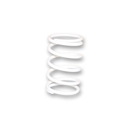 Imagen de MUELLE DE POLEA CONDUCIDA BLANCO Ø ext.75,7x160mm Ø hilo 5,7mm 7,7k (2916114.W0)